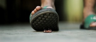 Hvordan man opdager en kakerlak: 5 tegn på, at din partner er Roaching dig